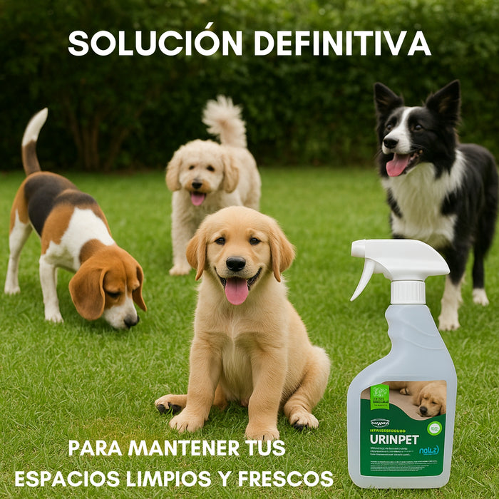 Repelente Eliminador De Olores Orina Desmanchador Perro 750c