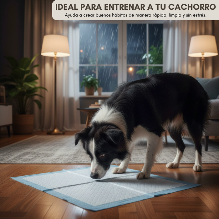 160 Pañales Sabanillas Entrenamiento Absorbentes Mascota Perros 60x60cm