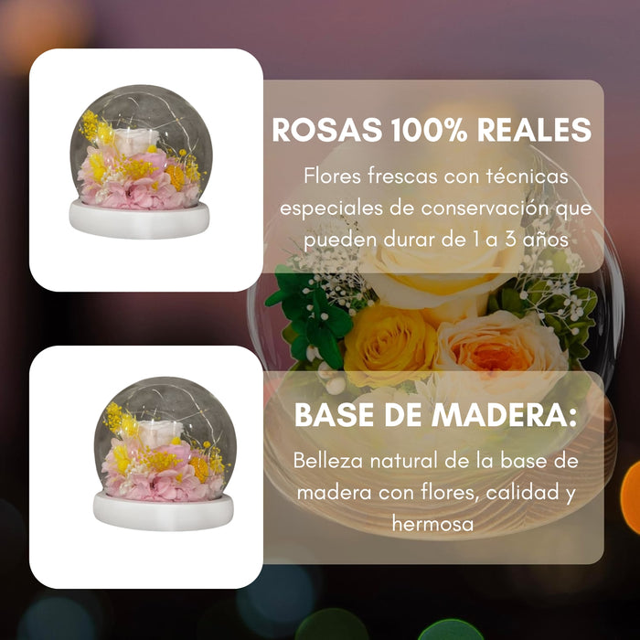 Rosas Eternas Flores Artificiales Decoracion Hogar Luz Led