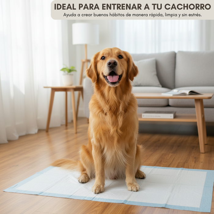 60 Pañales Sabanillas Entrenamiento Absorbentes Mascota Perros 60x90cm