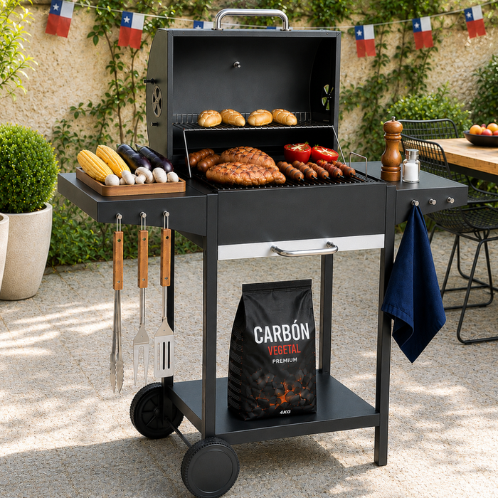 Parrilla Asador A Carbon Acero Inoxidable Con Ruedas Tapa y Termometro