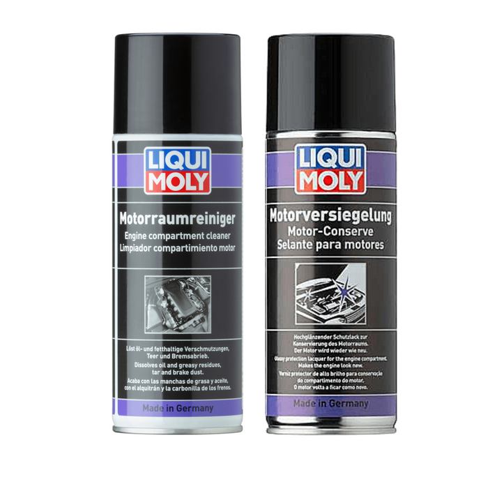 Spray Limpiador + Protector Brilla Liqui Moly 400ml Kit