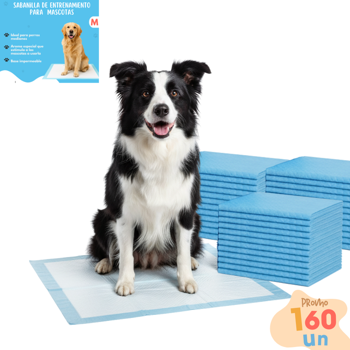 160 Pañales Sabanillas Entrenamiento Absorbentes Mascota Perros 60x60cm