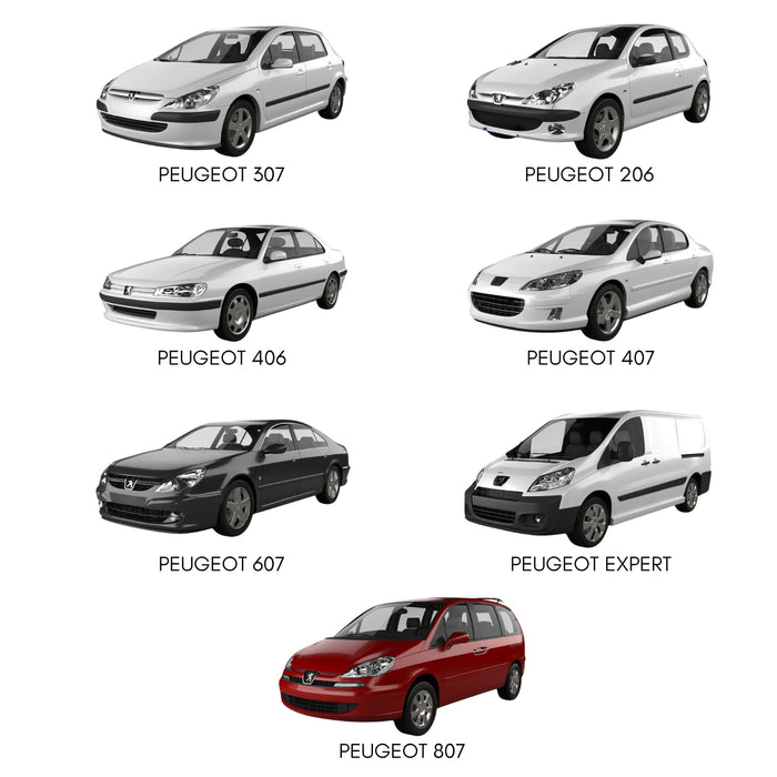 Inyector De Gasolina Para Peugeot 307 206 406 407 607 2.0 X4