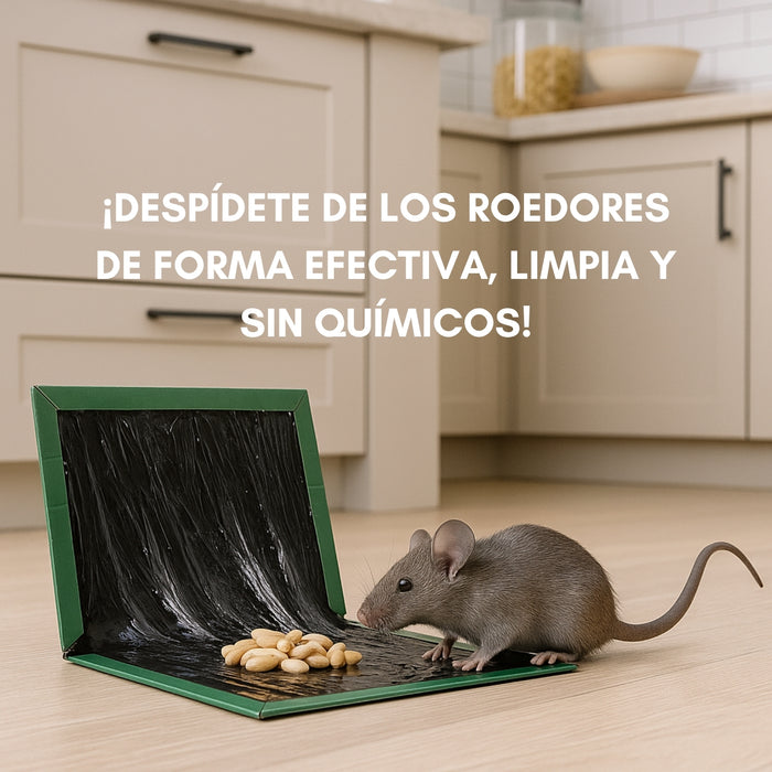 10 Trampas Para Ratones Pegajosa Libro Pega Raton