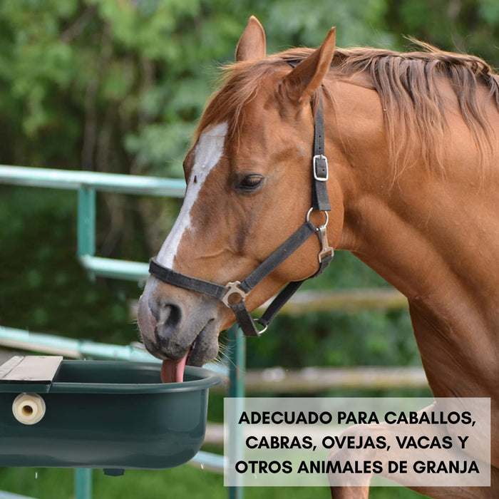 Bebedero Automático Grande Para Caballos, Vacas, Cabras