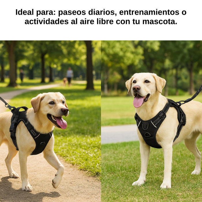 Pechera Para Perro Arnés Ajustable Reflectantes Con Correas