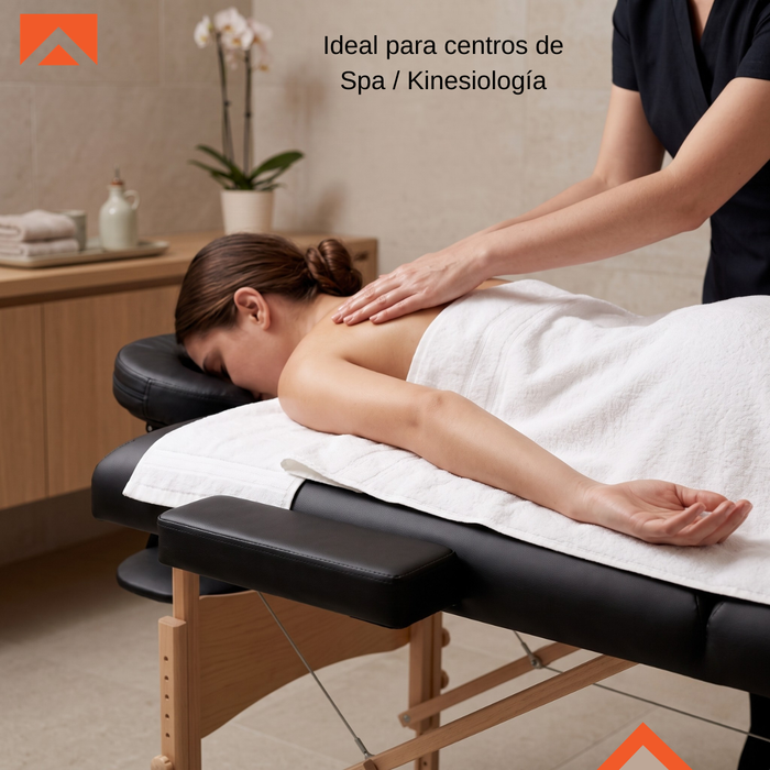 Camilla De Masaje Portátil Plegable Aluminio 2 Cuerpos con Bolso Protector de Traslado