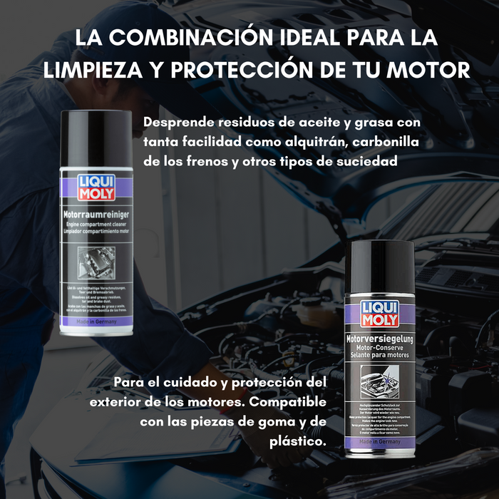 Spray Limpiador + Protector Brilla Liqui Moly 400ml Kit
