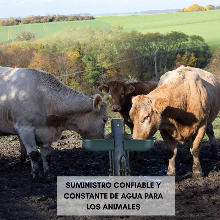 Bebedero Automático Grande Para Caballos, Vacas, Cabras