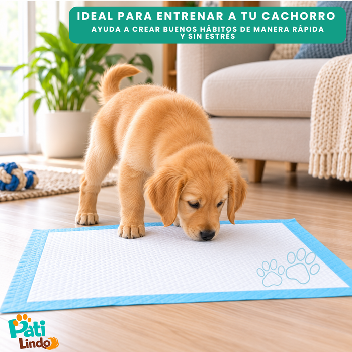 20 Pañales Sabanillas Entrenamiento Absorbentes Mascota Perros 60x90cm