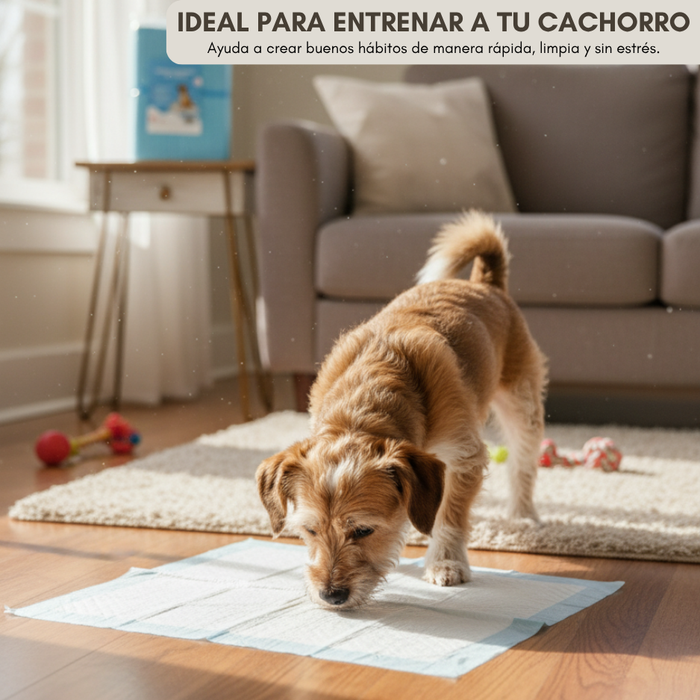 150 Pañales Sabanillas Entrenamiento Absorbentes Mascotas Perros y Gatos 60x45cm