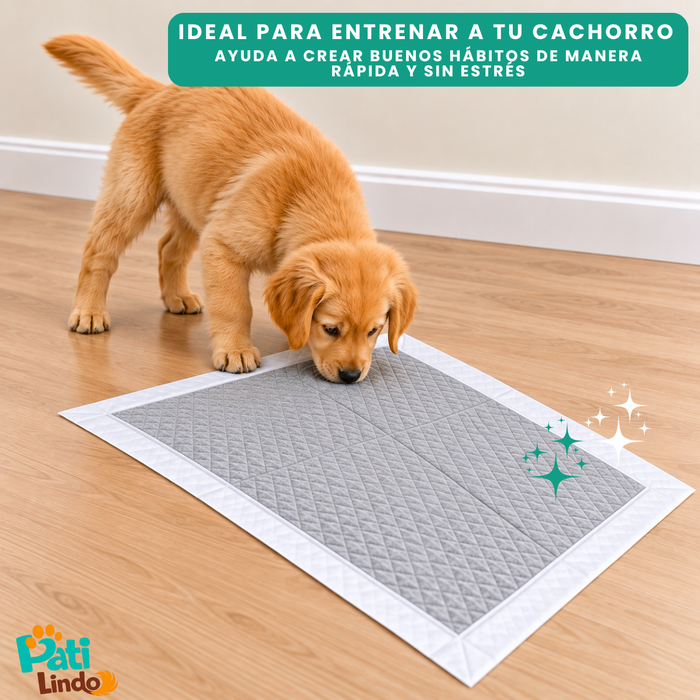 40 Pañales Sabanillas Absorbentes Para Mascotas Carbón 60x90