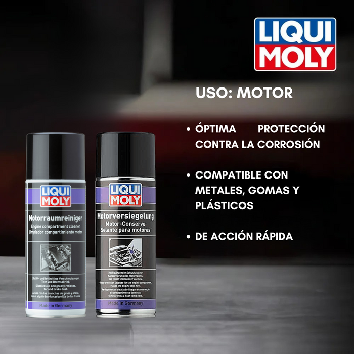 Spray Limpiador + Protector Brilla Liqui Moly 400ml Kit