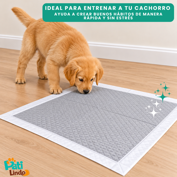 120 Pañales Sabanillas Absorbentes Para Mascotas Con Carbón Activo 60x60 cm Talla M