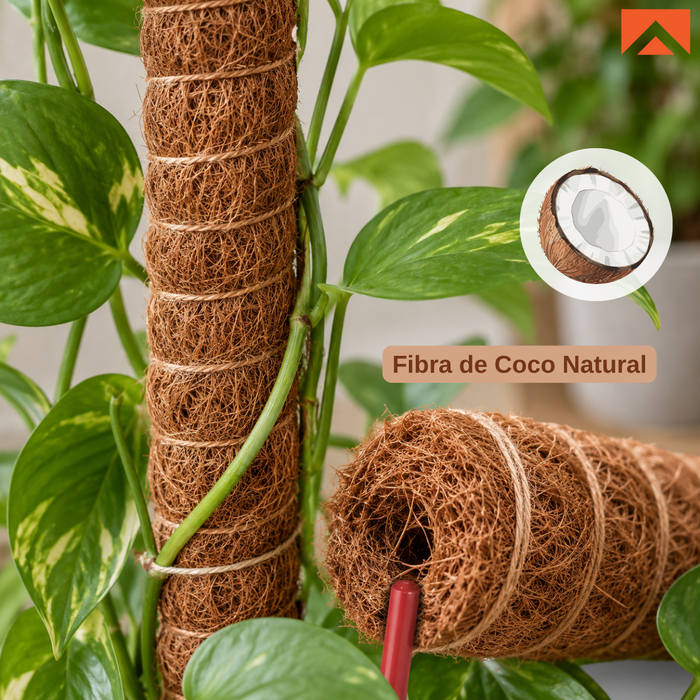 Kit Tutor de Musgo 21Pcs Soporte  Plantas Trepadoras 100cm Postes De Coco amarres y cinta