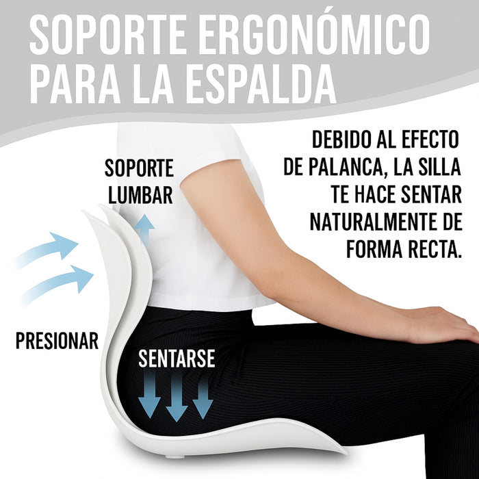 Cojín Ergonómico Para Espalda Cintura Corrige La Postura
