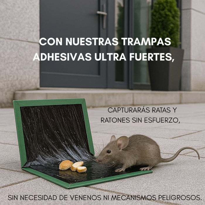 10 Trampas Para Ratones Pegajosa Libro Pega Raton