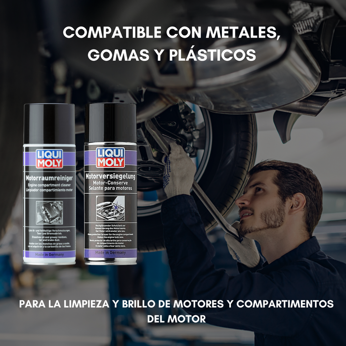 Spray Limpiador + Protector Brilla Liqui Moly 400ml Kit