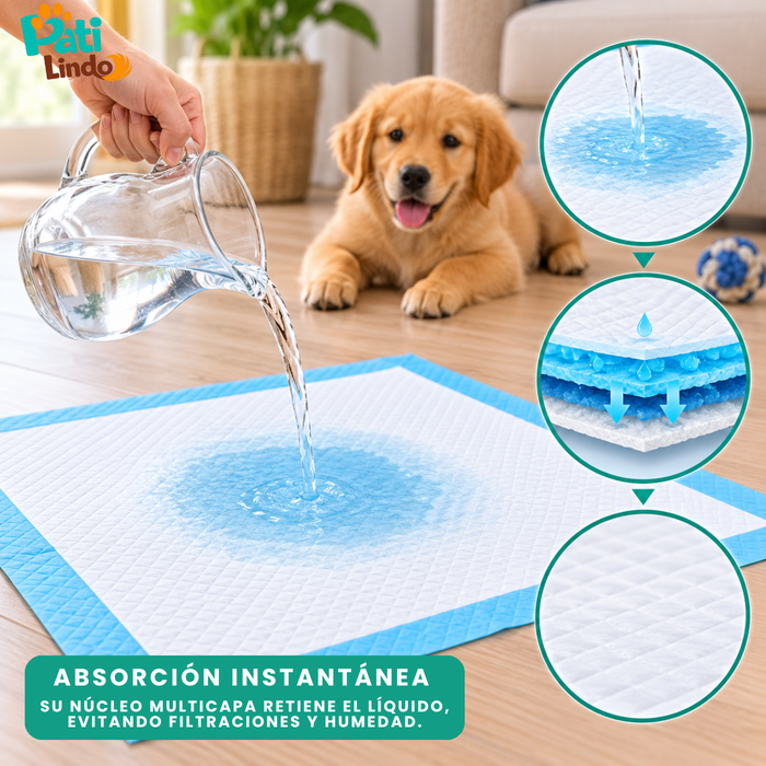 20 Pañales Sabanillas Entrenamiento Absorbentes Mascota Perros 60x90cm