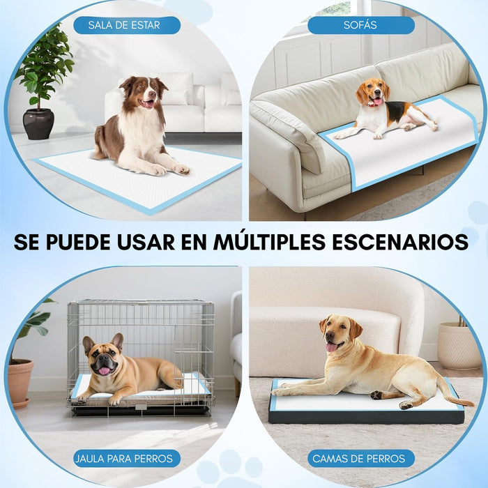 120 Pañales Sabanillas Mascotas Perros Y Gatos 60x60cm