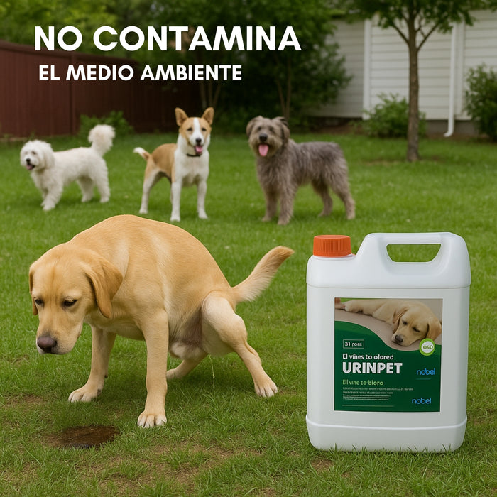 Repelente Eliminador De Olores Orina Desmanchador Perro 5lt