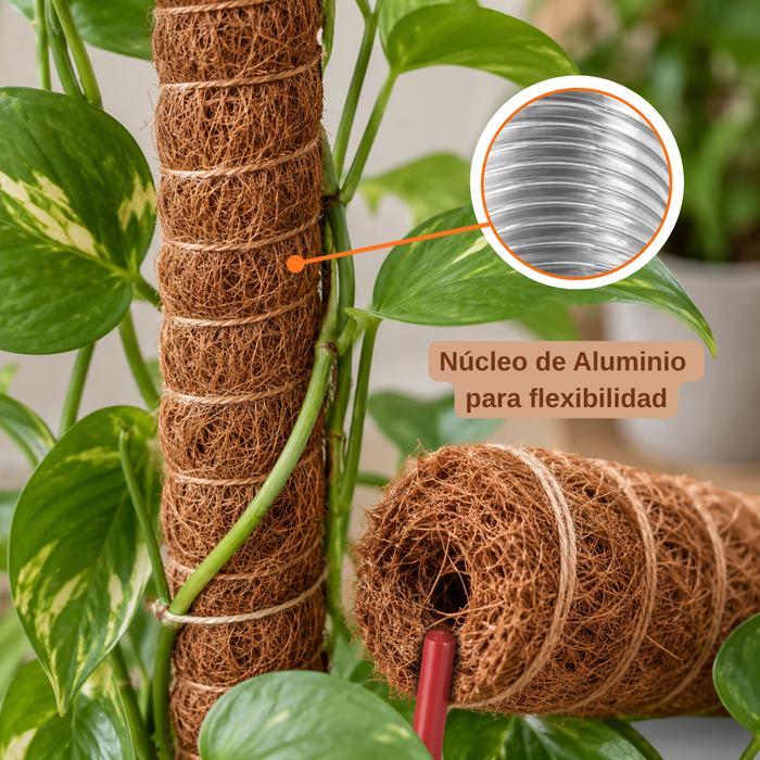 Kit Tutor de Musgo 21Pcs Soporte  Plantas Trepadoras 100cm Postes De Coco amarres y cinta