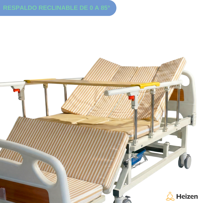 Cama Clínica Catre Eléctrico 260Kg Colchón Bandeja y Control