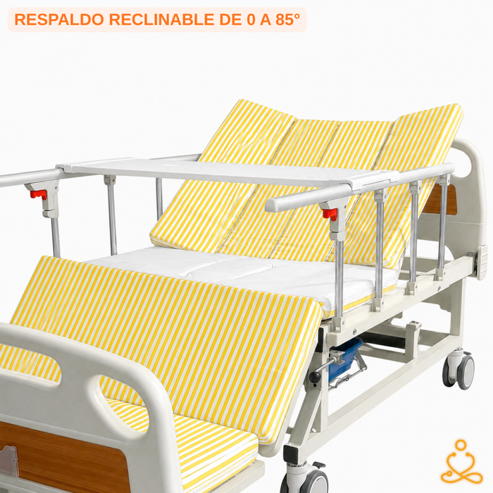 Cama Clínica Catre Eléctrico 260Kg Colchón Bandeja y Control