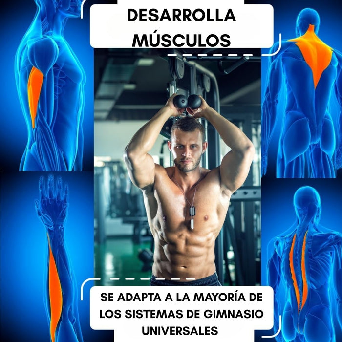 Cuerda Crossfit Entrenamiento Para Agarres Gym Triceps Casa