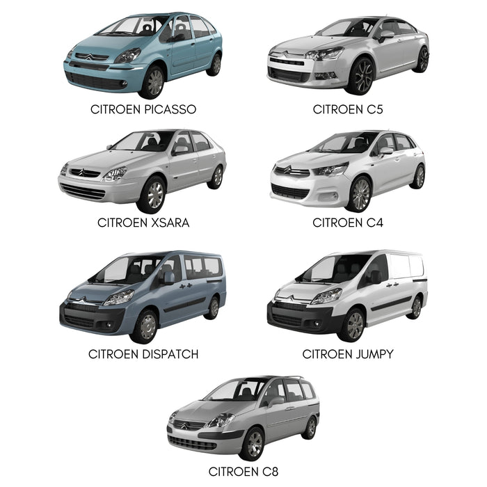 Inyector De Gasolina Para Citroen Xsara Picasso C4 C5 2.0 X4