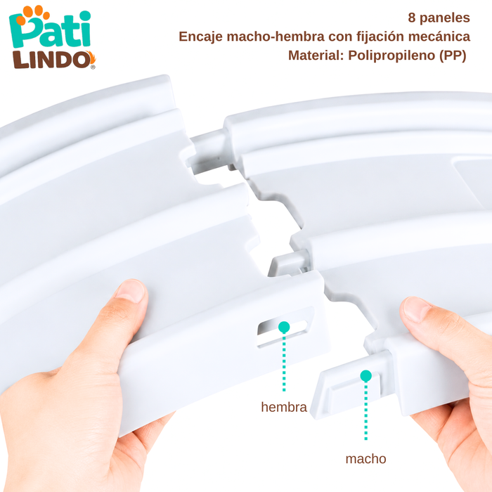 Rueda De Ejercicio Para Gatos Xl Caminadora Antideslizante