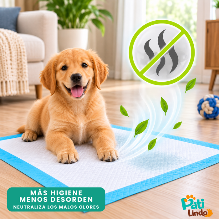 20 Pañales Sabanillas Entrenamiento Absorbentes Mascota Perros 60x90cm