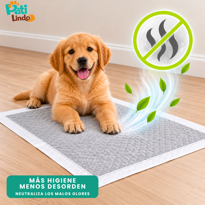120 Pañales Sabanillas Absorbentes Para Mascotas Con Carbón Activo 60x60 cm Talla M