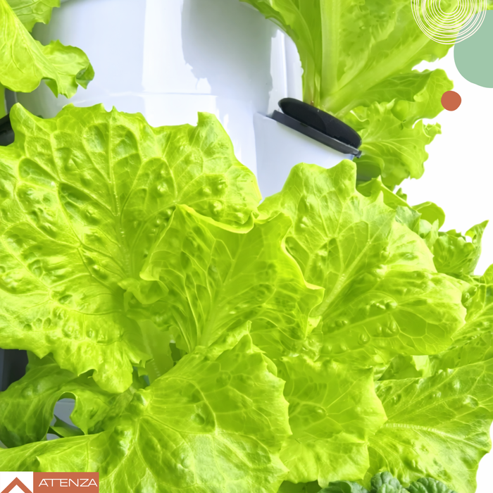 Torre De Cultivo Hidropónico Vertical Huerto En Casa Jardín