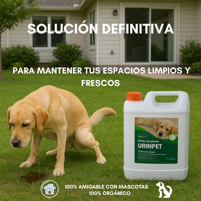 Repelente Eliminador De Olores Orina Desmanchador Perro 5lt
