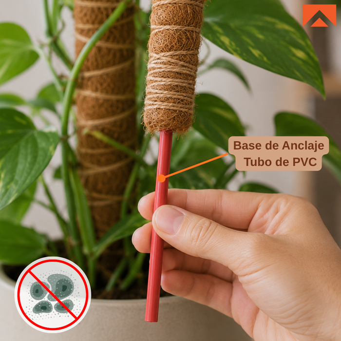 Kit Tutor de Musgo 21Pcs Soporte  Plantas Trepadoras 100cm Postes De Coco amarres y cinta