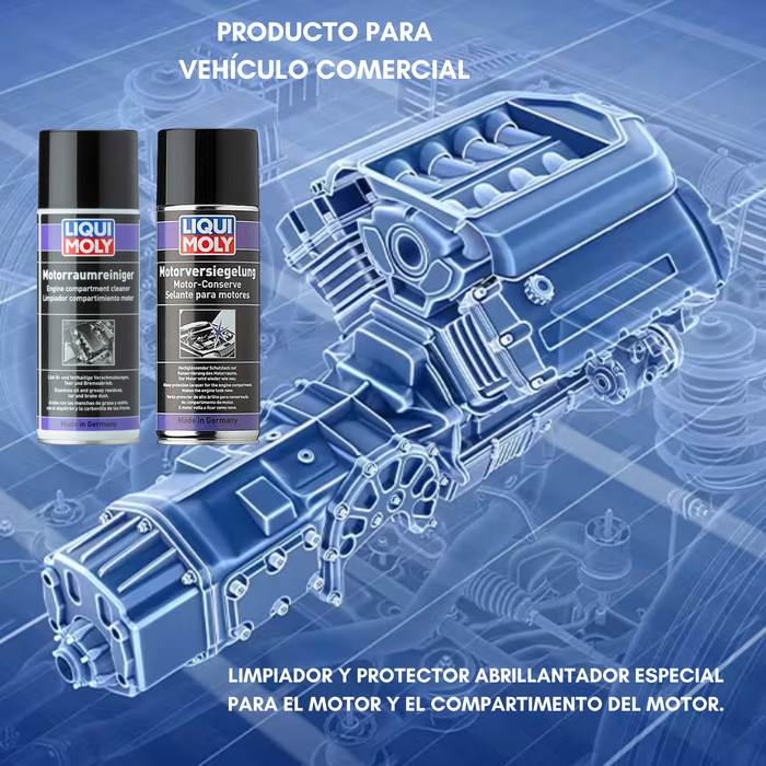 Spray Limpiador + Protector Brilla Liqui Moly 400ml Kit