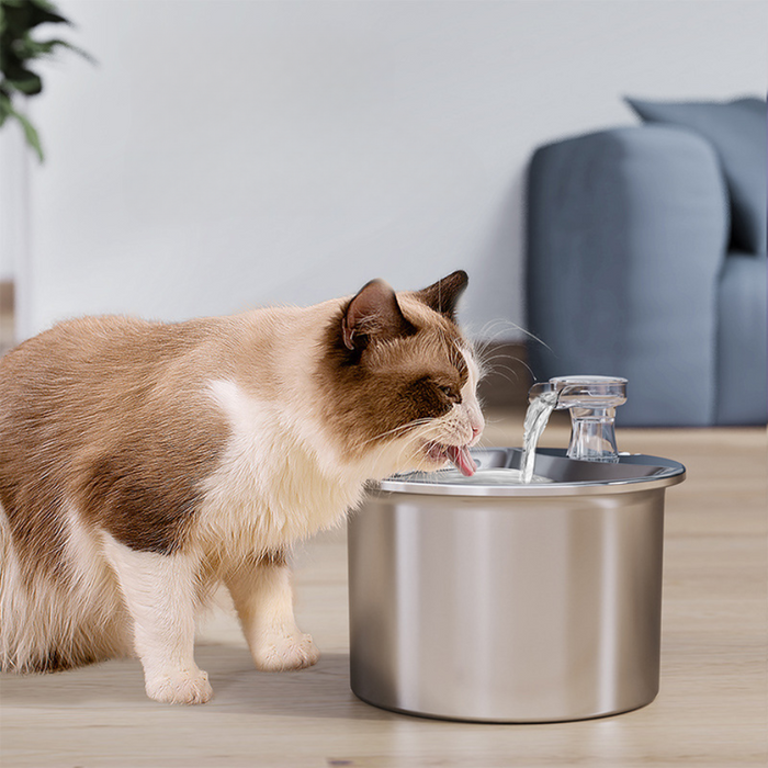 Filtro Fuente Bebedero Agua Gato Perros Acero Inoxidable