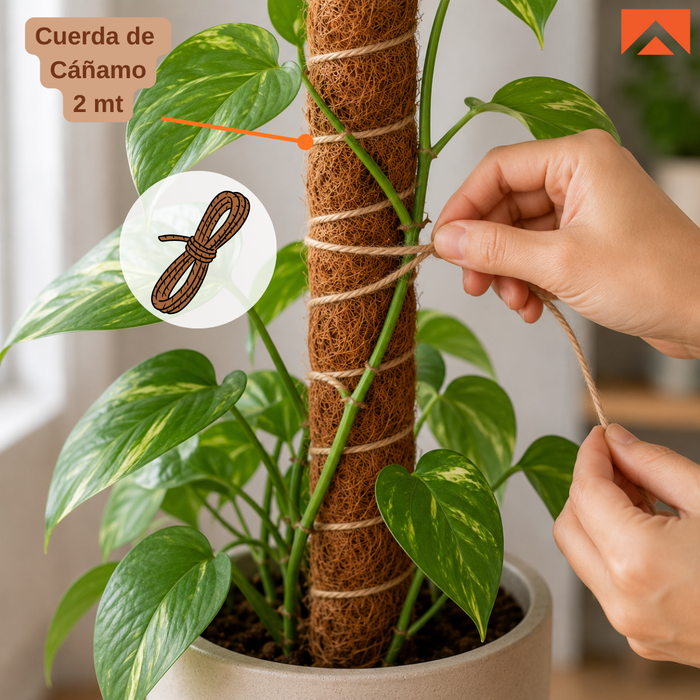 Kit Tutor de Musgo 21Pcs Soporte  Plantas Trepadoras 100cm Postes De Coco amarres y cinta