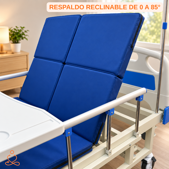 Cama Clínica Catre Eléctrico 260kg Colchón Bandeja Y Control Remoto