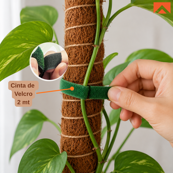 Kit Tutor de Musgo 21Pcs Soporte  Plantas Trepadoras 100cm Postes De Coco amarres y cinta