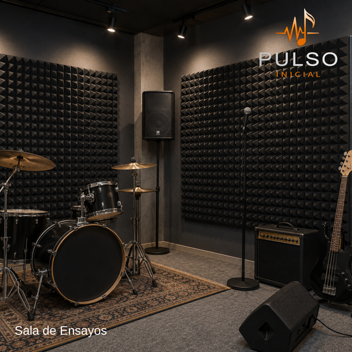 12 Paneles Espuma Acústica Insonorizante Aislante Sonido