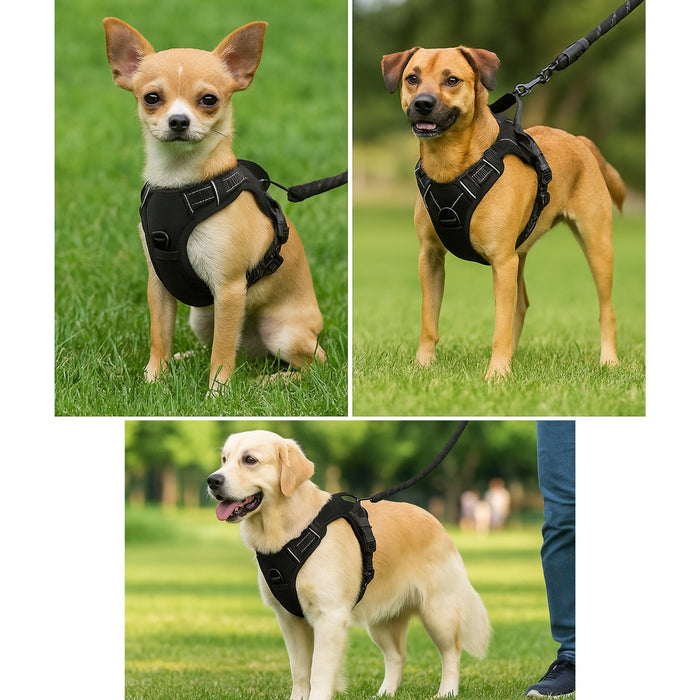 Pechera Para Perro Arnés Ajustable Reflectantes Con Correas