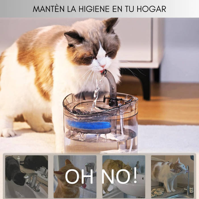 8 Filtros Fuente Agua Bebedero Gatos Perros
