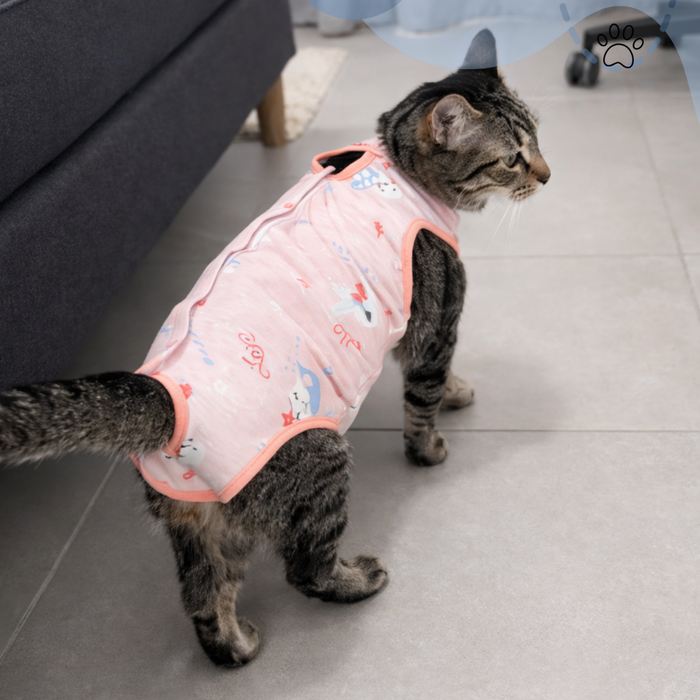 Faja Post Operatorio Perro Gato Body Quirúrgico Mascota Surtido Talla M