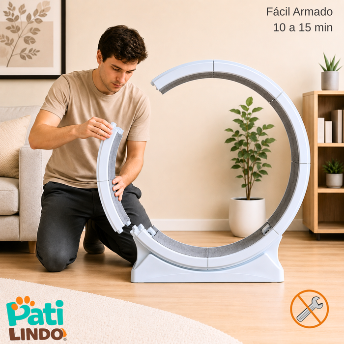 Rueda De Ejercicio Para Gatos Xl Caminadora Antideslizante