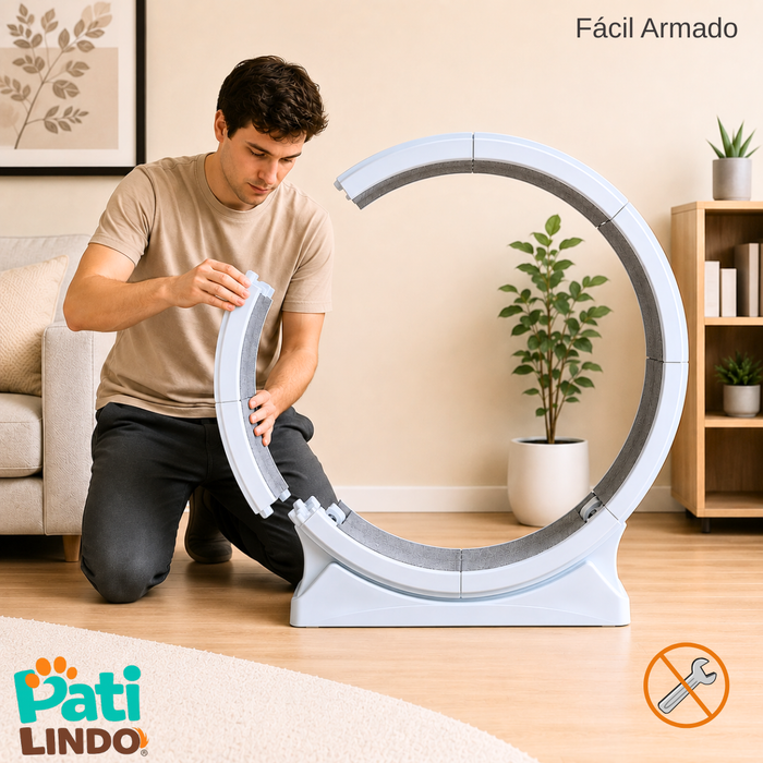 Rueda De Ejercicio Para Gatos Xl Caminadora Antideslizante
