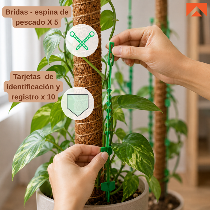 Kit Tutor de Musgo 21Pcs Soporte  Plantas Trepadoras 100cm Postes De Coco amarres y cinta