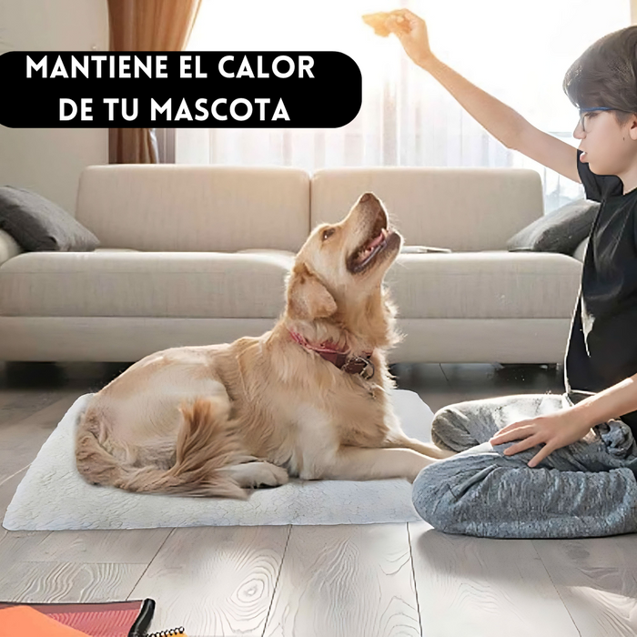 Cama Alfombra Polar Invierno Mascotas Perros Gatos 59x47